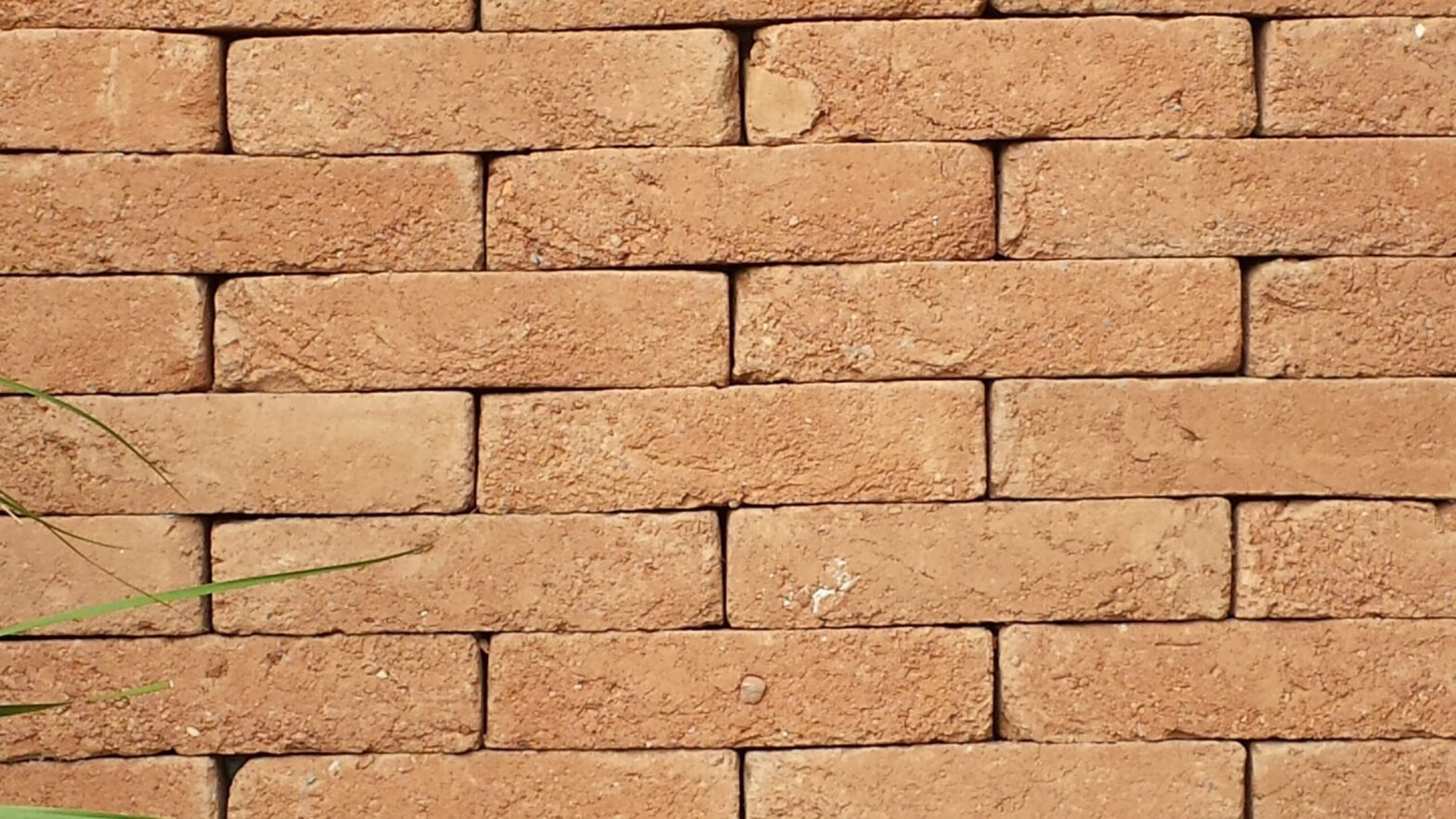 16 Hara Chokito scaled 1